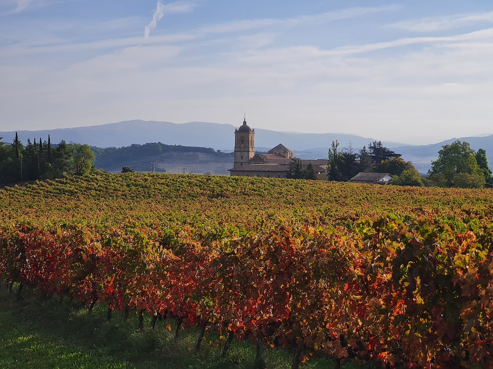 Viajes organizados Camino de Santiago - Circuito por Navarra